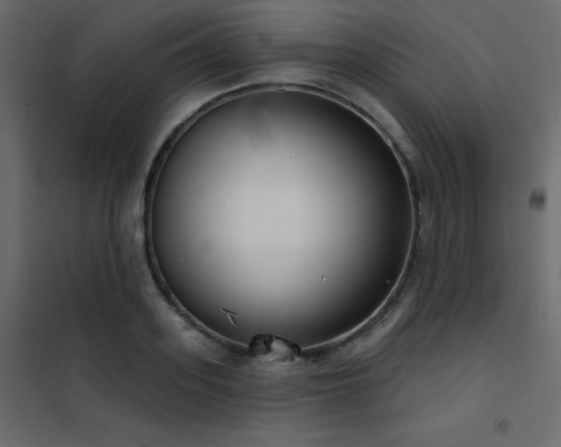 X0000102530939200808081448