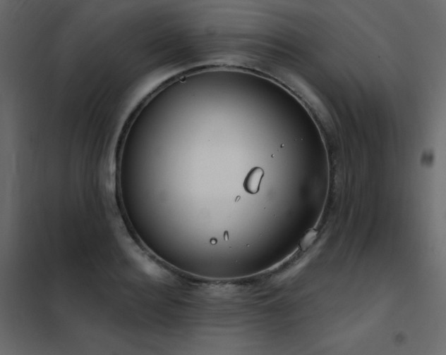 X0000102530940200808081448