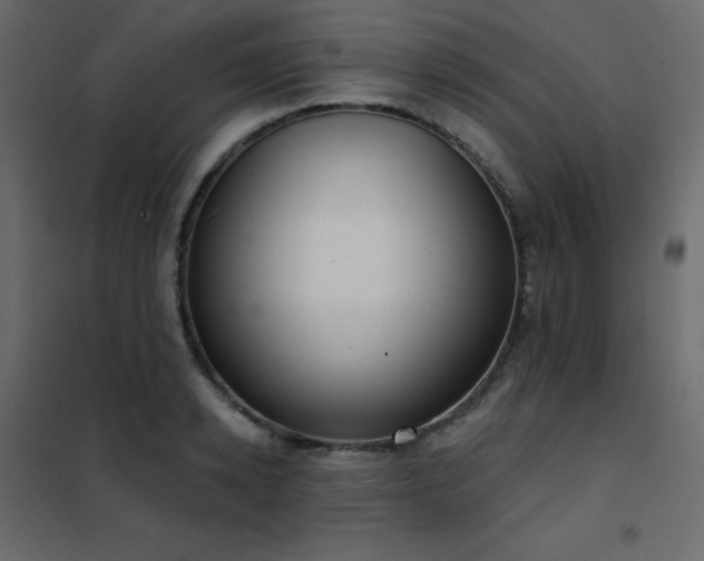 X0000102530942200808081448