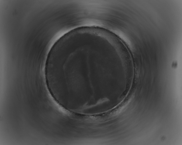 X0000102530943200808081448