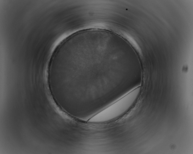 X0000102530944200808081448