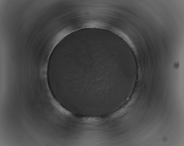 X0000102530946200808081448
