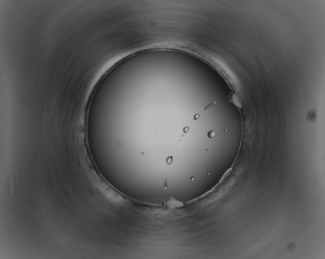 X0000102530948200808081448