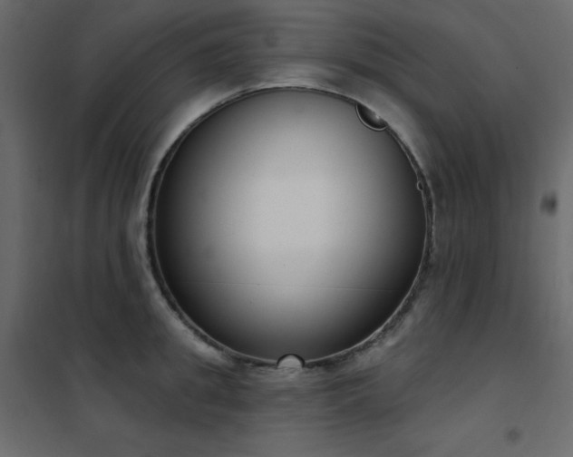 X0000102530949200808081448