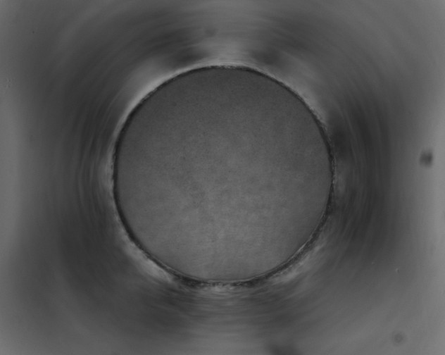 X0000102530950200808081448