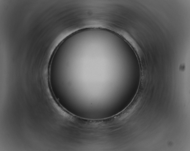 X0000102530951200808081448