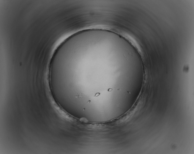 X0000102530952200808081448