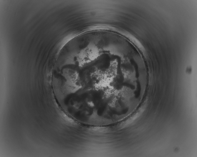 X0000102530953200808081448