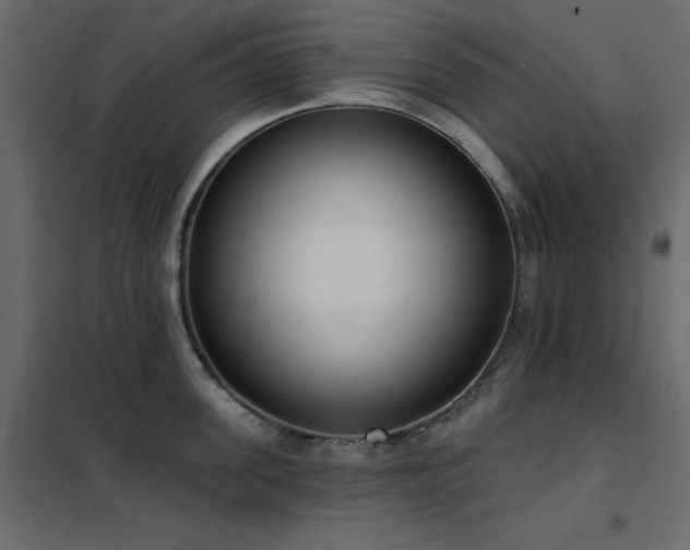 X0000102530955200808081448
