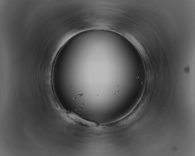 X0000102530956200808081448