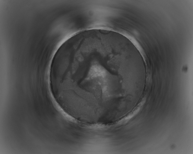 X0000102530957200808081448