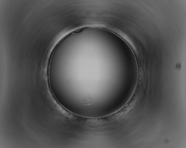X0000102530959200808081448