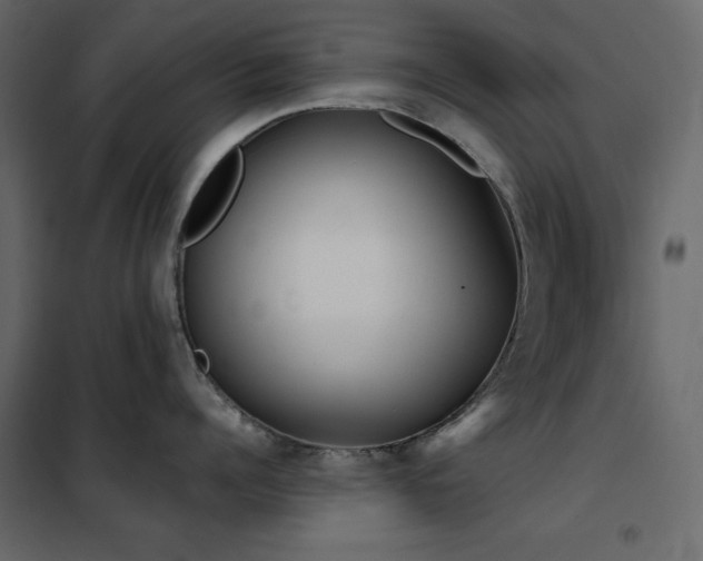 X0000102530960200808081448