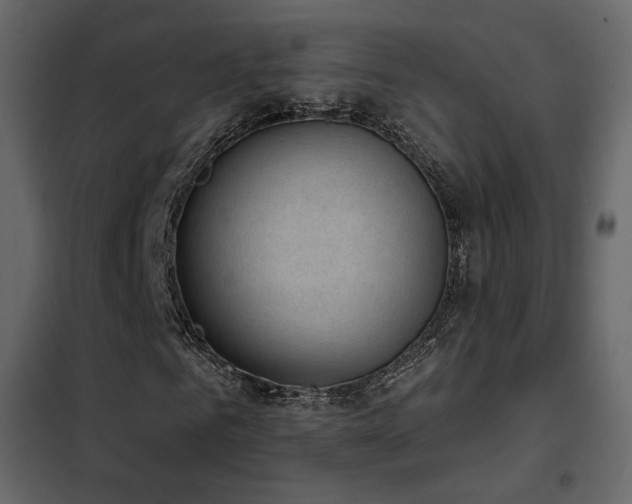 X0000102530961200808081448