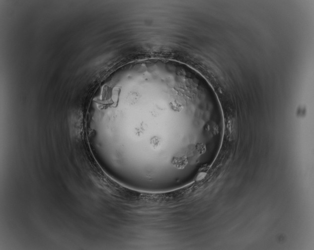 X0000102530963200808081448