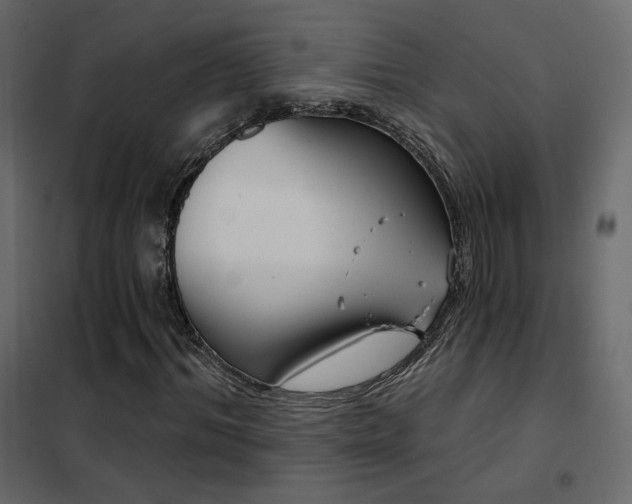 X0000102530964200808081448