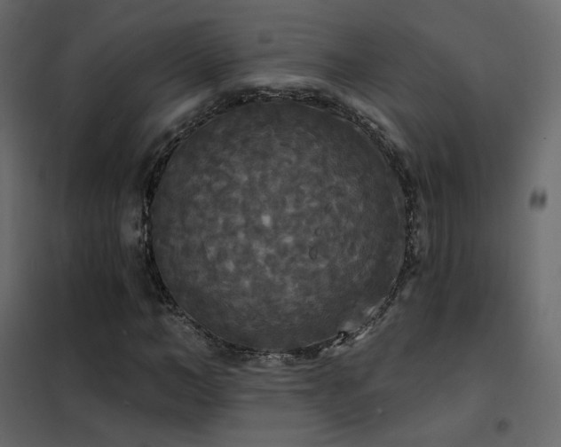 X0000102530966200808081448