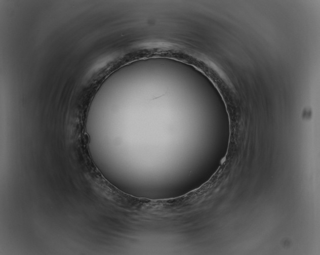 X0000102530967200808081448