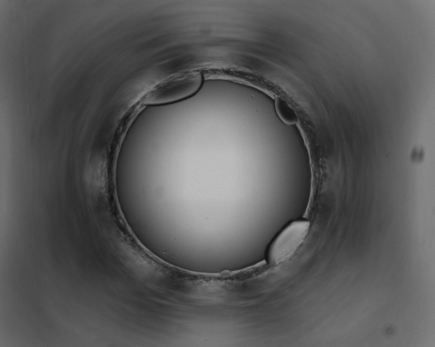 X0000102530969200808081447