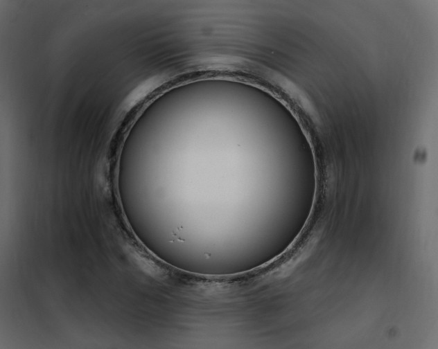 X0000102530970200808081447