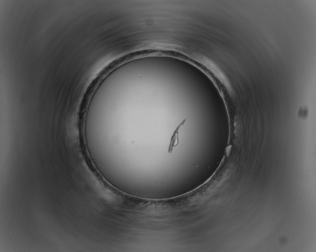 X0000102530972200808081447