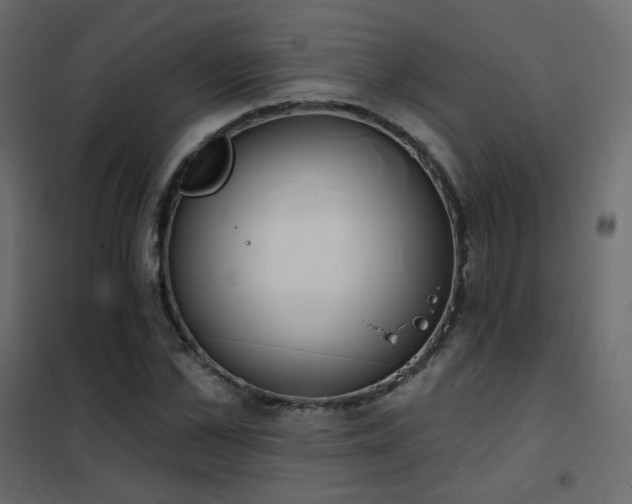 X0000102530973200808081447