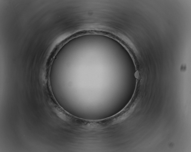 X0000102530974200808081447