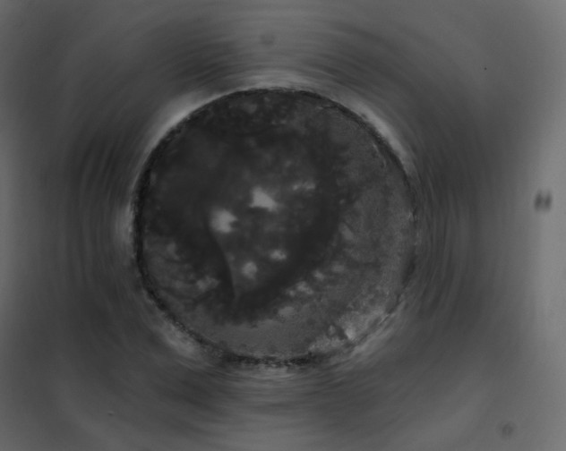 X0000102530975200808081447