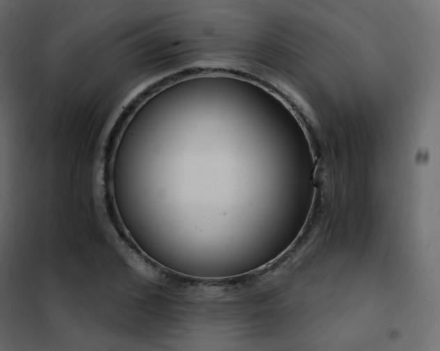 X0000102530976200808081447