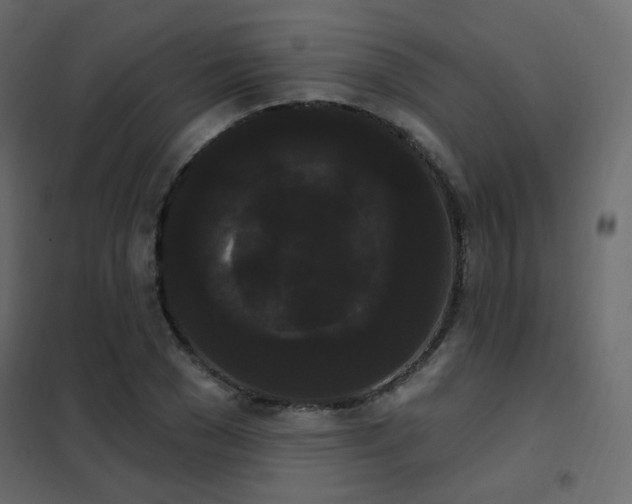 X0000102530977200808081447