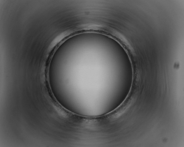 X0000102530978200808081447
