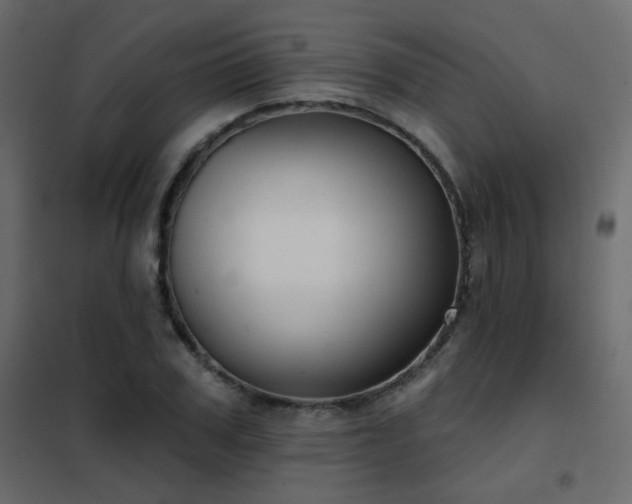 X0000102530979200808081447
