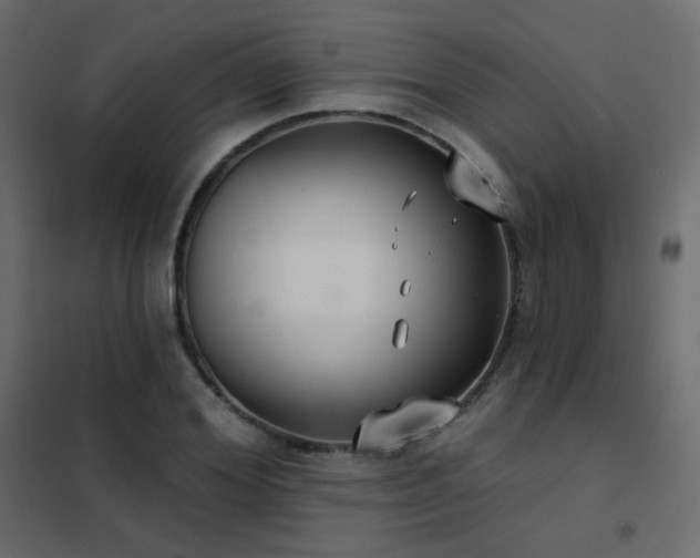 X0000102530980200808081447