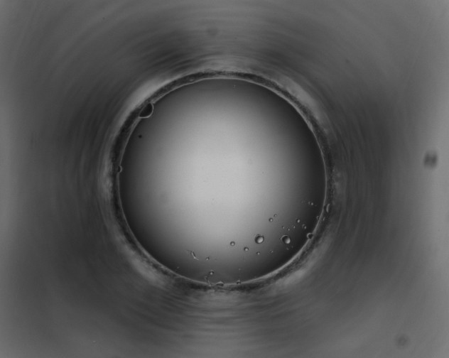 X0000102530981200808081447