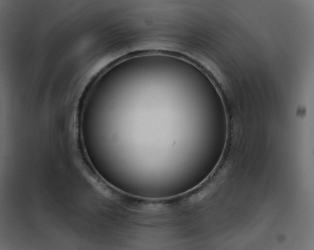 X0000102530982200808081447