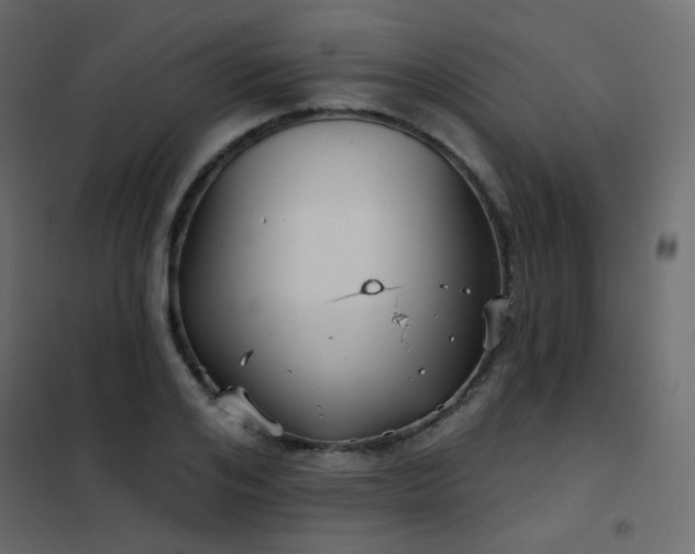 X0000102530984200808081447