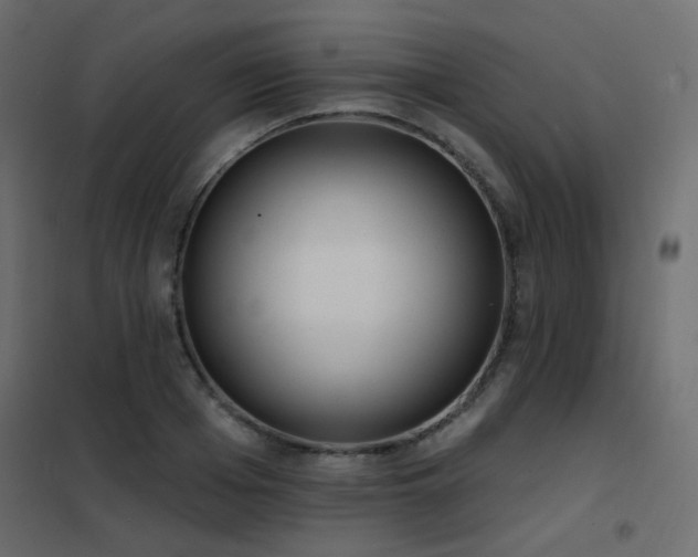 X0000102530985200808081447