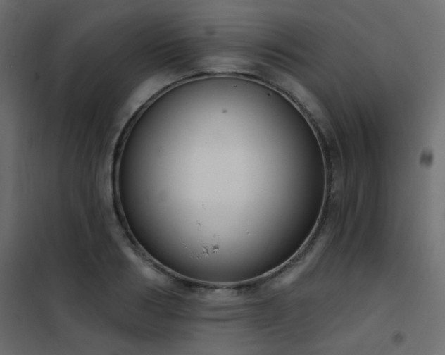 X0000102530986200808081447