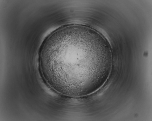 X0000102530987200808081447