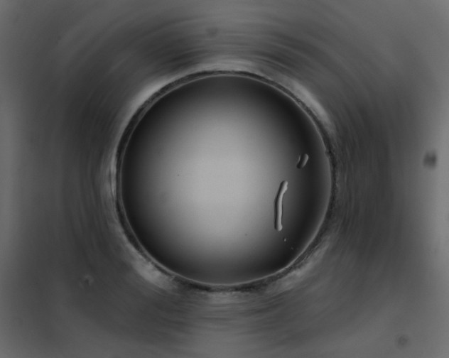 X0000102530988200808081447