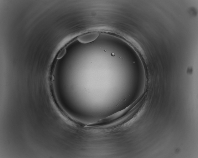X0000102530989200808081447