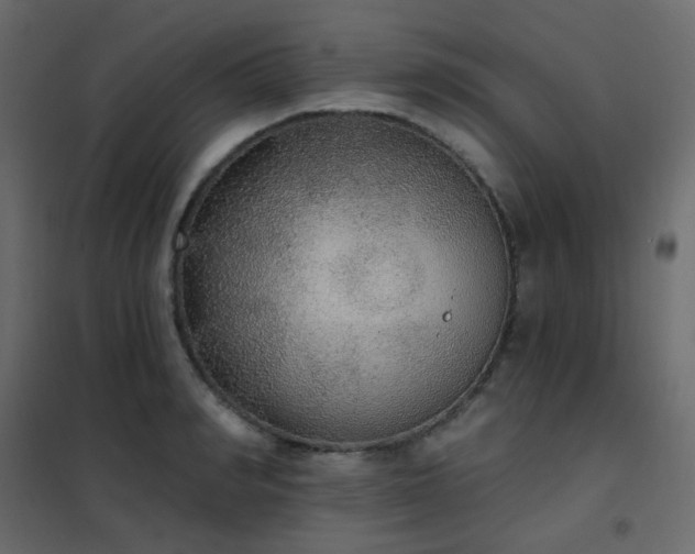 X0000102530990200808081447