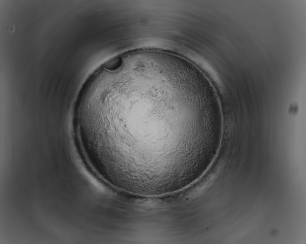 X0000102530991200808081447