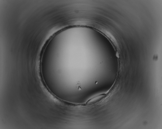 X0000102530992200808081447