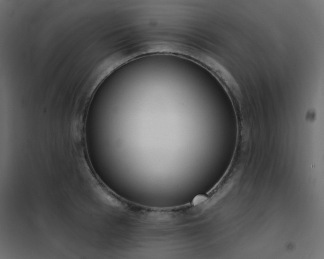X0000102530993200808081447