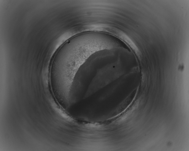 X0000102530994200808081447