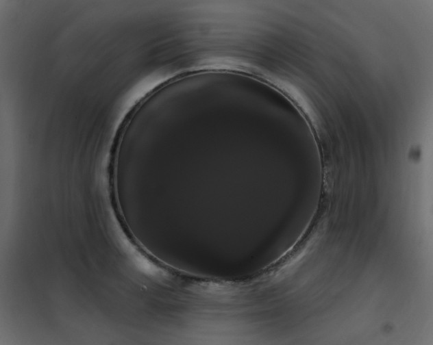 X0000102530995200808081447