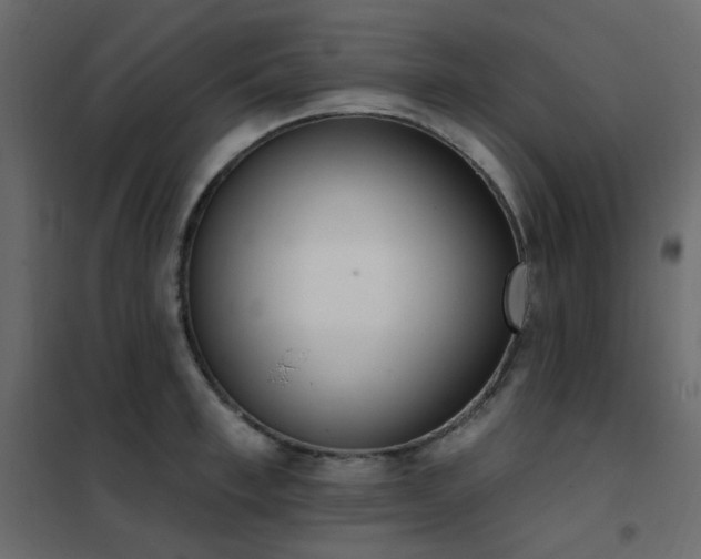 X0000102530997200808081447