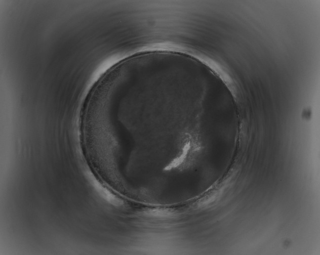 X0000102530998200808081447