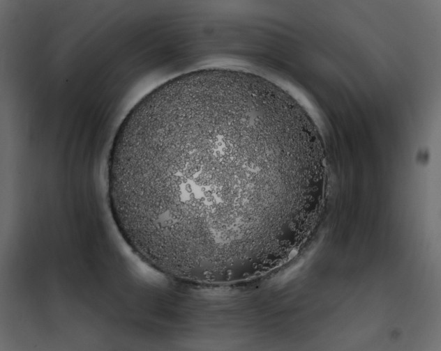X0000102530999200808081447